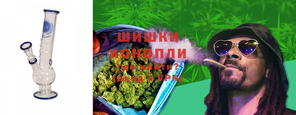 ГАЛЛЮЦИНОГЕННЫЕ ГРИБЫ Новозыбков