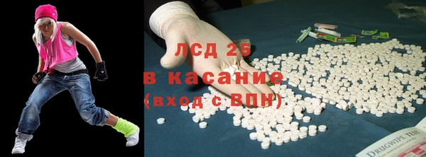 ГАЛЛЮЦИНОГЕННЫЕ ГРИБЫ Новозыбков