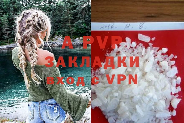 ГАЛЛЮЦИНОГЕННЫЕ ГРИБЫ Новозыбков