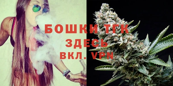прущие грибы Валуйки
