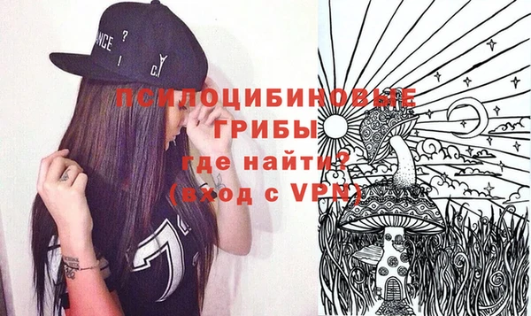 2c-b Новодвинск